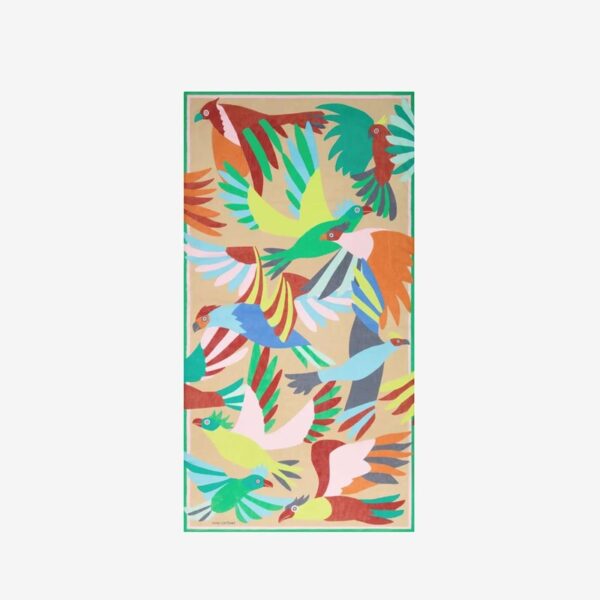 Scarf 100 voyage