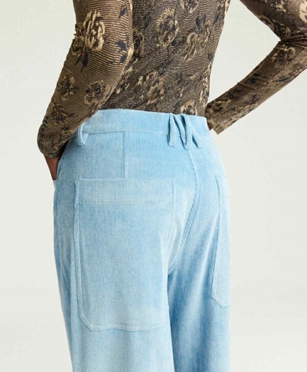 101280CF411844A426FB440247E9A0F5_ Peter pant blu