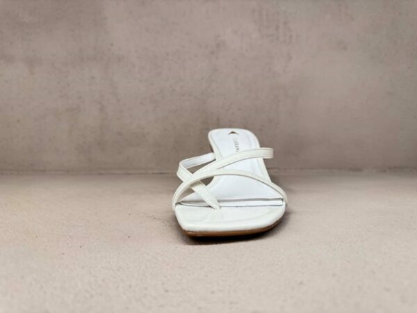 Mule white