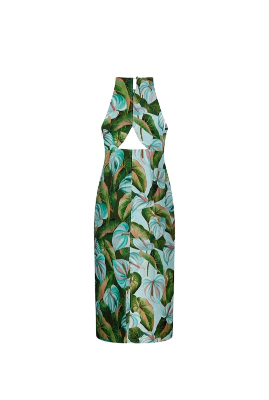 74D6CD3CA36E8E58C8DD4AFFDCF2766E_ Abito anthurium