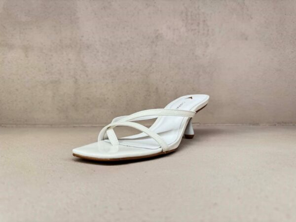Mule white