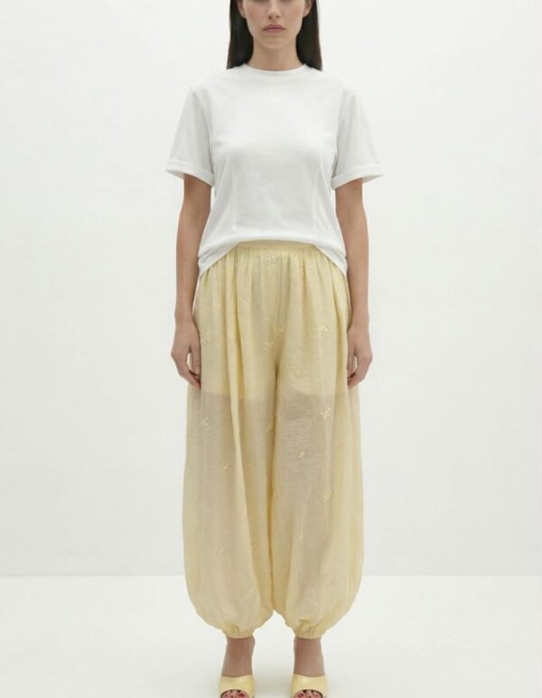 Pavan pant