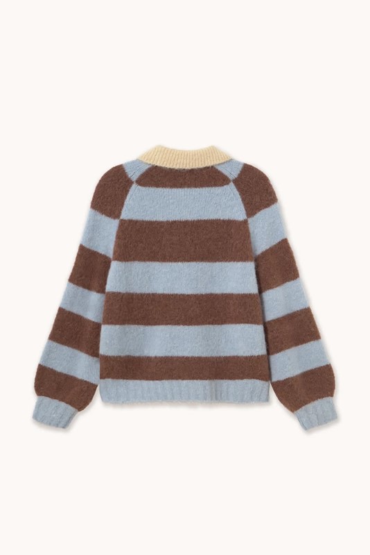 4978DF31B949A748420773888EA6EA1A_ Polo rigata